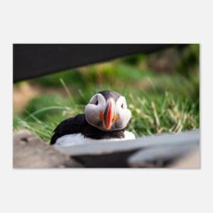 15c63b8c-b9cc-48b3-8e9a-d03db60fcdf2